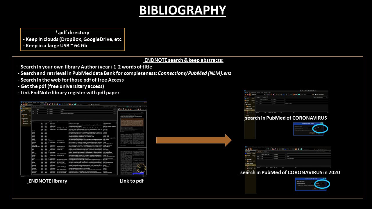 BIBLIOGRAPHY