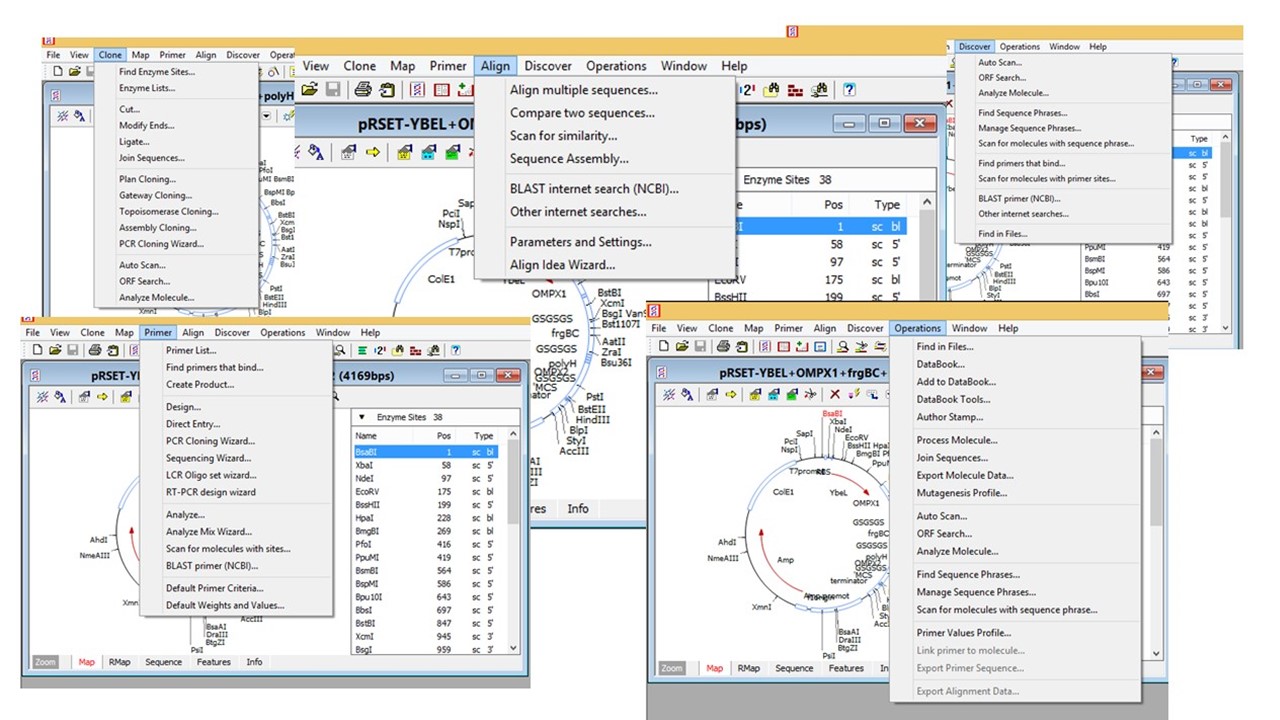 DNA SEQUENCES