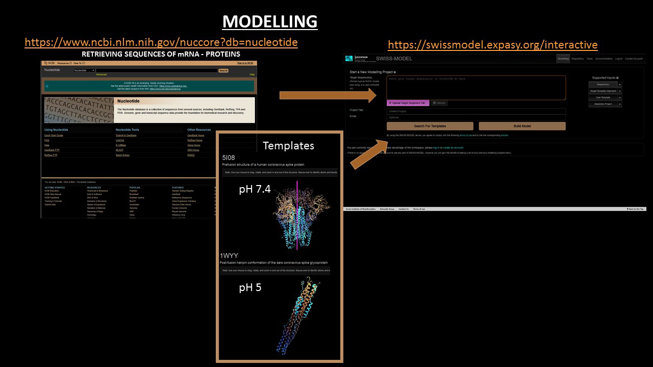 3D MODELLING