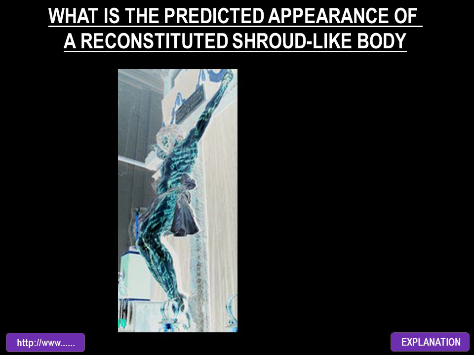 WHAT IS THE PREDICTED APPEARANCE OF A RECONSTITUTED SHROUD-LIKE BODY