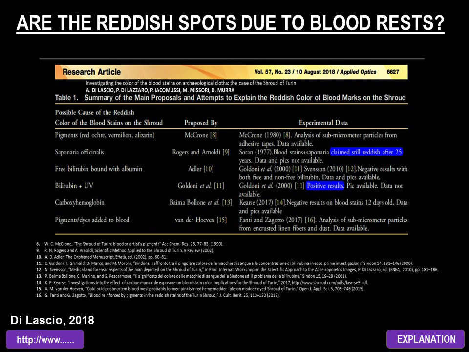 ARE THE REDDISH SPOTS DUE TO BLOOD RESTS?